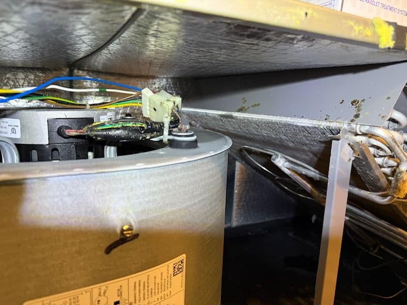 Advanced UV Light Air Purifier Installation in Hutto TX image