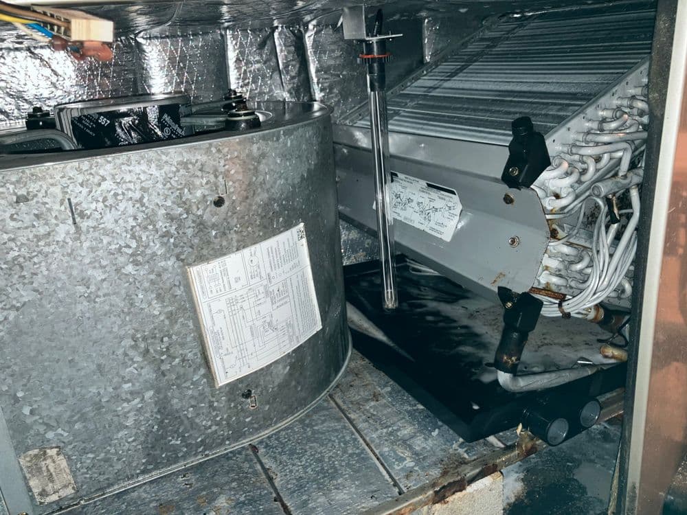 Interior view of a refrigeration unit showing compressor and evaporator coil setup.
